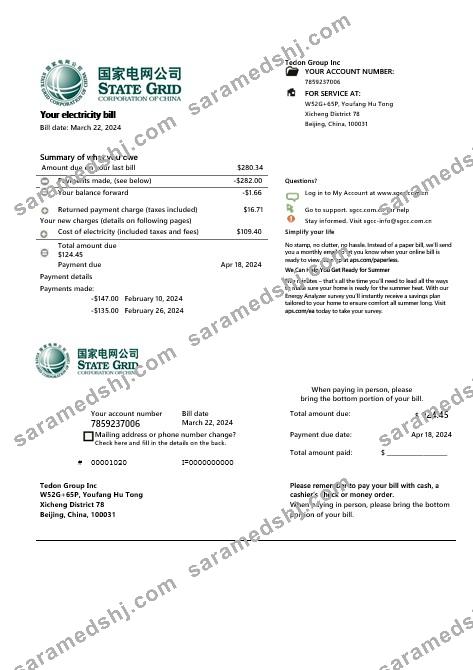 China State Grid Corporation of China electricity business utility bill in word and pdf formats